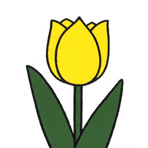 미피 그림엽서  - 딕브루너 노란 튤립 포스트카드